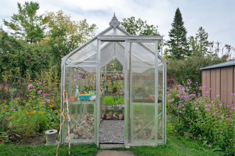 A greenhouse filled with cacti
